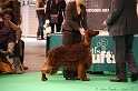 Crufts2011 380